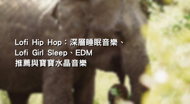 Lofi Hip Hop：深層睡眠音樂、Lofi Girl Sleep、EDM 推薦與寶寶水晶音樂